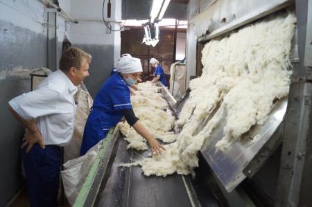 Хакасское предприятие направило в Китай восемь контейнеров овечьей шерсти