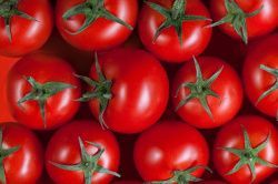 Общие проблемы с томатами