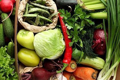 В России увеличилось производство овощей «борщевого набора»