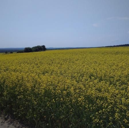 В Вологодской области прошел конкурс агрономов