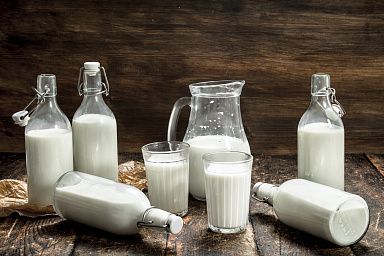 В ДНР развивается производство натуральных молочных продуктов