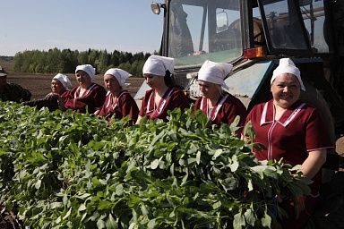 В Вологодской области сельхозтоваропроизводителям направили 1,7 млрд рублей для проведения посевной кампании