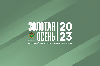Донская делегация примет участие в XXV Российской агропромышленной выставке «Золотая осень – 2023»