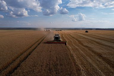 В Татарстане намолотили 3 млн тонн зерна