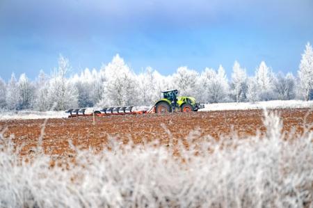 Калининградские аграрии нарастили посевы озимых под урожай-2022