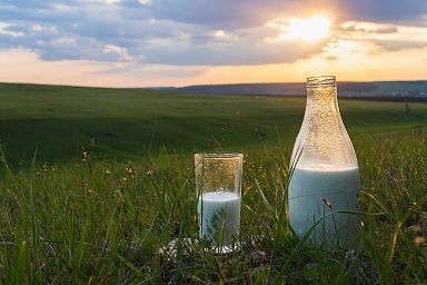 Более 67 тысяч тонн молока произведено в сельхозпредприятиях Саратовской области с начала года
