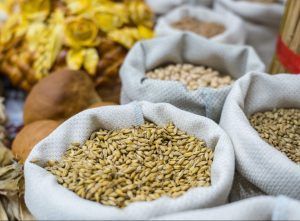 Делегация из Азербайджана ознакомится с российской системой фитосанитарного контроля за зерновой продукцией