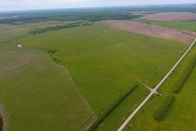 Агрохимслужба Запорожской области в 2024 году проведет обследование земель сельхозназначения на площади 28 тыс. га