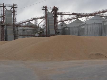 Сельхозтоваропроизводителям Иркутской области впервые компенсируют затраты на производство и реализацию зерна