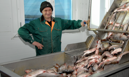 Рыбодобывающим предприятиям ЯНАО упростят порядок получения господдержки