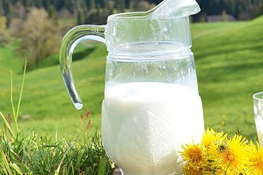 Томские фермеры получат господдержку на производство молока