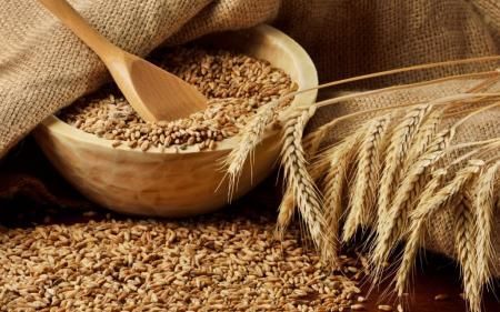 Товаропроизводители Липецкой области готовятся к внедрению Федеральной системы прослеживаемости зерна