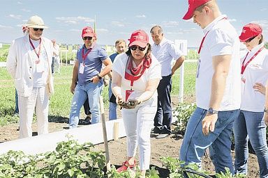 В Липецкой область состоялся региональный «День поля»