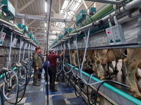 Молочно-товарный комплекс «Курба» на 1400 голов крупного рогатого скота торжественно открыли в Ярославской области