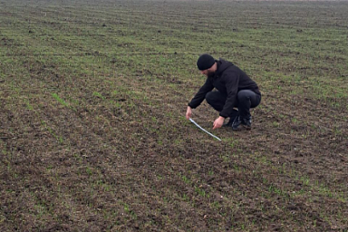 В Мелитопольском районе Запорожской области провели мониторинг состояния посевов озимых зерновых культур