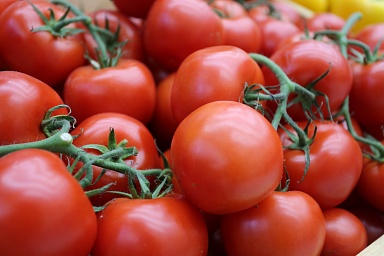 Производство тепличных овощей в России увеличилось на 5,6%