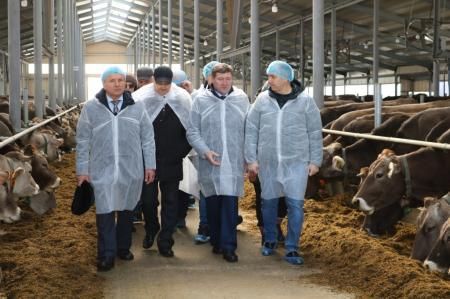 Молочный комплекс на 800 голов ввели в эксплуатацию в Нижегородской области