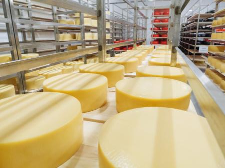Предприятия Ивановской области вдвое увеличили производство сыра