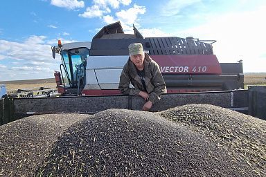 Аграрии Красноярского края получат господдержку на производство масличных культур