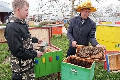 Фермеры Одинцовы из Ивановской области за сезон собирают до 25 тонн меда