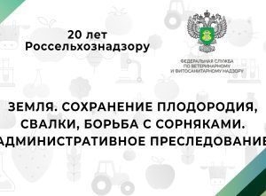 Видео: 20 лет Россельхознадзору — Земля. Сохранение плодородия, свалки, борьба с сорняками. Административное преследование