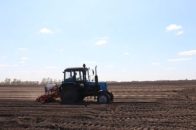 В Томской области яровой сев выполнен на 16%