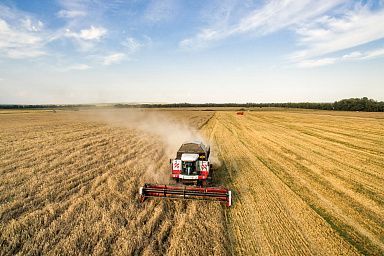 Все районы Воронежской области приступили к севу озимых культур