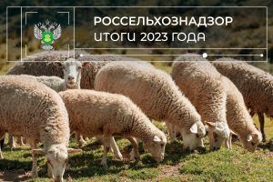 Итоги 2023: Вовлечение побочных продуктов животноводства в сельскохозяйственное производство