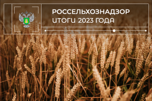 Предварительные итоги деятельности Северо-Западного межрегионального управления Россельхознадзора за 2023 год