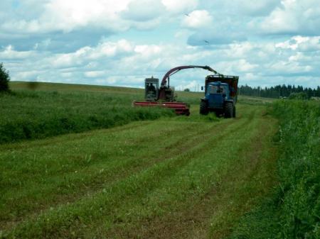 В Башкирии заготовлено более 30 тыс. тонн сенажа