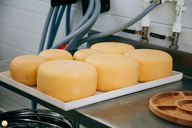 Производство соков в Чувашии выросло в 29 раз, а сыров в 3 три раза