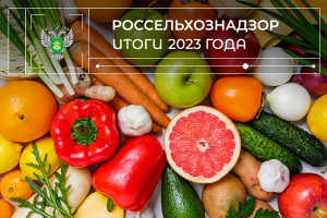 Итоги 2023: Импорт и экспорт растительной продукции, международное сотрудничество в области карантина растений и семеноводства