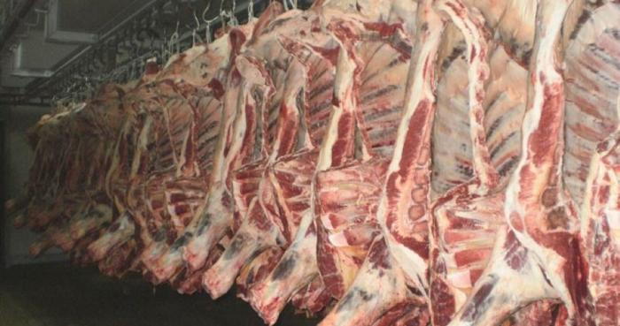 Оршанский мясоконсервный комбинат запустил новый убойный цех