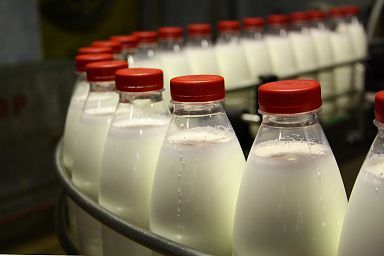 Участник свободной экономической зоны в ЛНР планирует увеличение производства молочной продукции