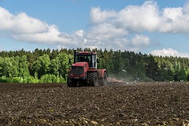 В Томской области завершили сев яровых зерновых и зернобобовых культур