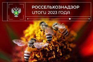 Итого 2023: Содействие в решении проблем пчеловодства