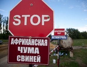 В Татарстане зарегистрирована очередная вспышка АЧС