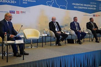 Участникам общероссийского форума рассказали о потенциале дагестанского овцеводства