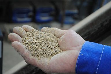 Новый мини-завод по переработке зерна готовится к открытию в Липецкой области