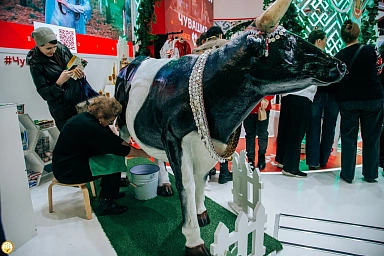 Посетители экспозиции #ЧувашияМолочная тысячу раз подоили чувашскую корову