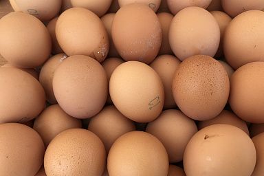 Исторический максимум по производству яиц достигнут в Липецкой области