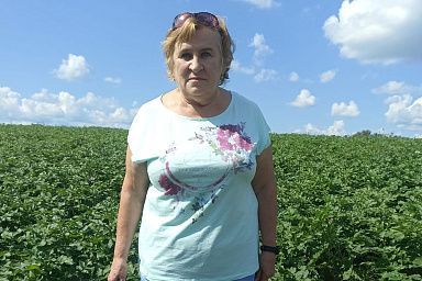 Жительница Вологодского округа развивает картофелеводство благодаря нацпроекту