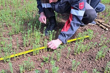 В Запорожской области студенты проходят производственную практику в полях