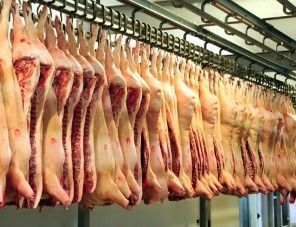 Производство свиней в Аргентине движется к историческому рекорду
