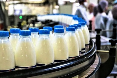 Объём реализации молока в сельхозорганизациях вырос на 7,4%