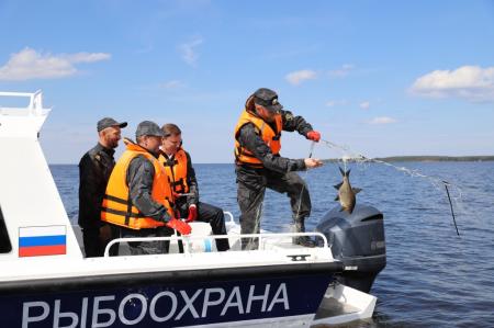 На комплексе «Рыбинское море» в Ярославской области будут производить до 340 тонн форели в год