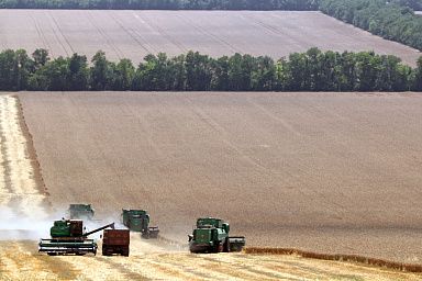 В 2023 году объем кредитных средств на сезонные полевые работы превысил 1,2 трлн рублей