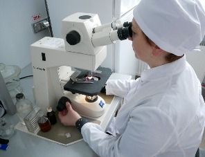 В России разработано средство для борьбы с опасными вирусами и бактериями