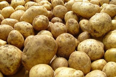 В Кабардино-Балкарии выросло производство овощей и картофеля