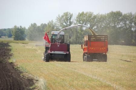 На развитие агропромышленного комплекса Красноярского края в 2022 году предусмотрено почти 8,5 млрд рублей